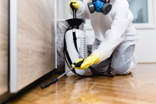 Best Best Pest Control Companies  in Deerfield Beach, FL