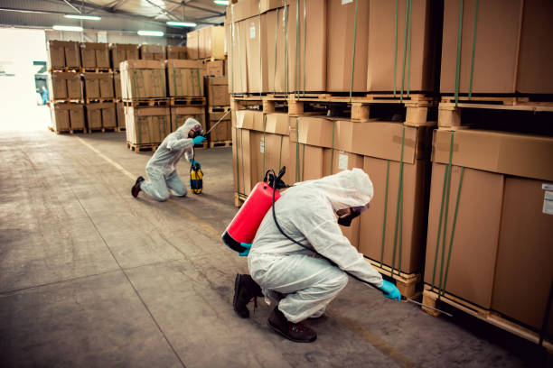 Best Wildlife Control Services  in Deerfield Beach, FL