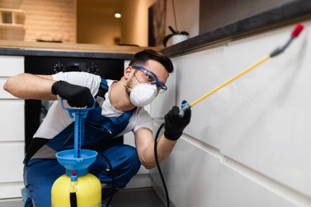 Professional Pest Control in Deerfield Beach, FL
