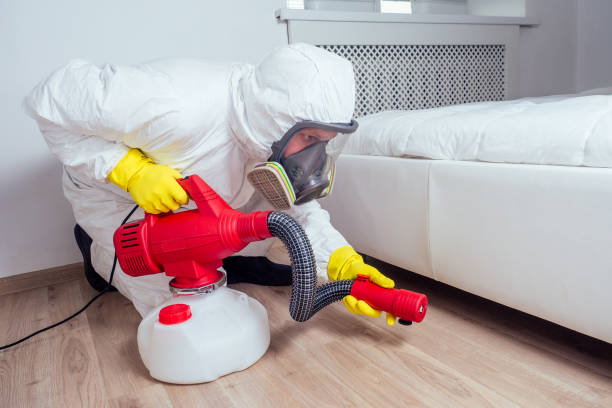Best Exterminator Services  in Deerfield Beach, FL