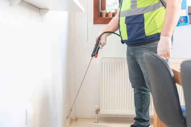 Best Termite Control Services  in Deerfield Beach, FL