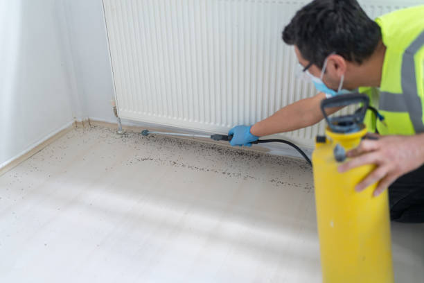 Best Commercial Pest Control Services  in Deerfield Beach, FL