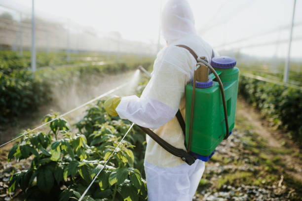 Wildlife Control Services in Deerfield Beach, FL
